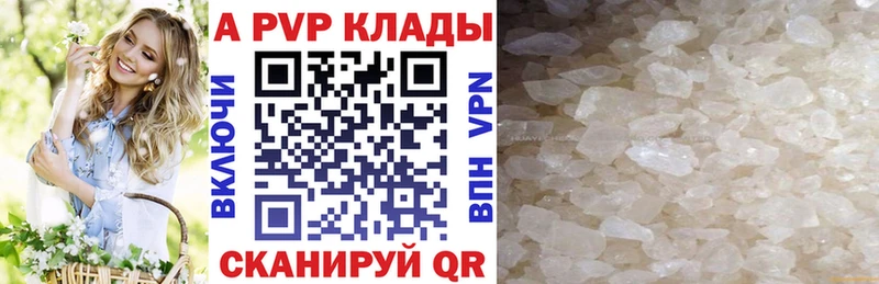 Альфа ПВП СК  Чегем 