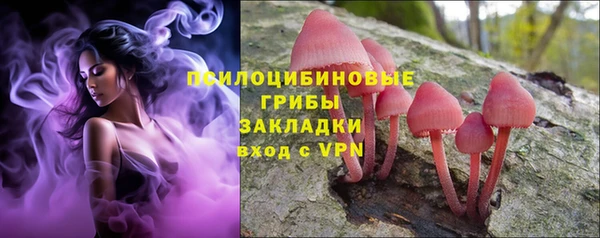 амф Надым