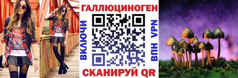 Псилоцибиновые грибы мицелий  Чегем 